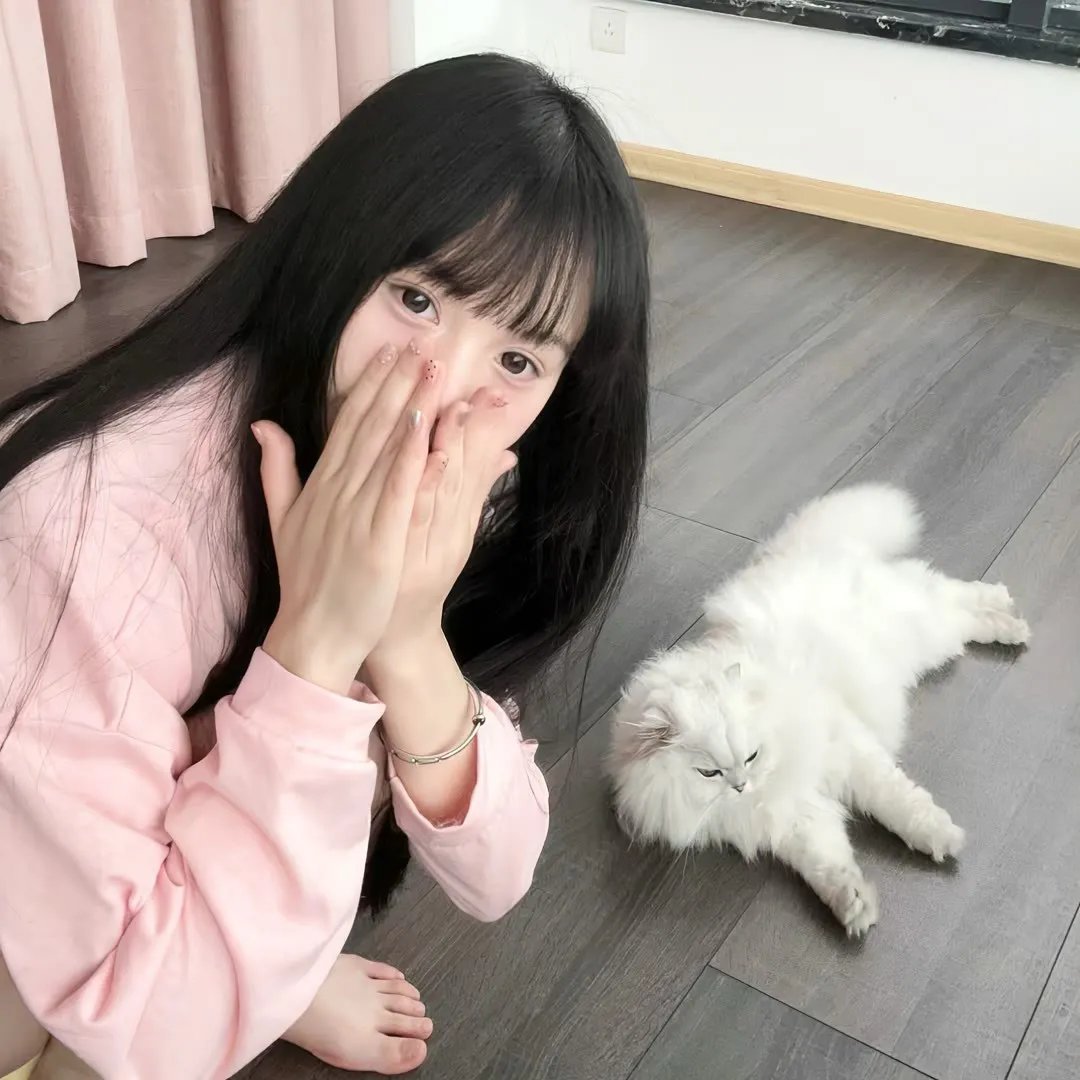 白鹭